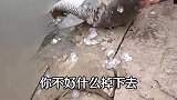 大哥在水边认真刮鱼鳞结果