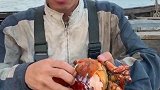 船长教你辨别面包蟹肥不肥