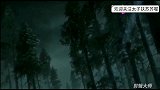 魔道祖师：蓝湛对魏无羡单膝下跪，魏无羡受宠若惊