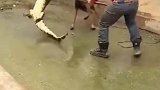 这下再也不敢看热闹了
