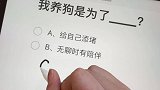 很多人问我养狗是为了什么，我不想欺骗自己的内心…