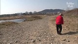 忠诚的狗狗每天守着死去的母狗的尸体不肯离去，最后一幕看哭了
