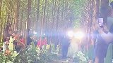 新人在森林举行婚礼，太仙了，像从童话里走出来的