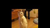 一定要看到最后