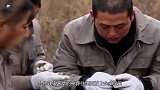 河南发现曹操墓葬，墓内出土神兵利器？专家：失传千年！