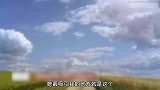 离婚才2周，冯绍峰就被曝相亲，父母只有一个要求：不要娱乐圈的