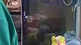 恭喜夹到了一只小喵咪