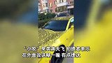 齐齐哈尔被“小咬”占领，成千上万小虫子乱飞，市民：说话能糊一嘴