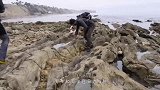 男子野外探险，发现一个黑乎乎的奇怪生物，凑近一看脸色大变！
