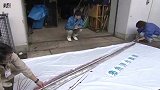 3米长皇带鱼一周内二度现身日本沿海