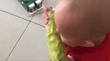 小宝宝真厉害，苦瓜拿起来就吃，这表情好搞笑！