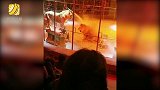俄罗斯一马戏团狮子表演时突然开打 观众惊慌逃跑