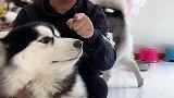 狗咬我，我咬狗就是玩儿