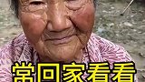 您多久没回家看看奶奶了？