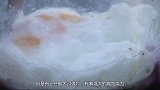 比硫酸还厉害的魔酸，老外把手放进去，结果很出乎意料！