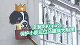 “交通指挥官”狗狗肖像被画到墙上：保护小朋友过马路成大明星