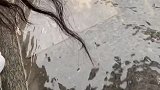 下雨天出门用的搞笑交通船！