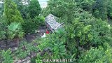 贵州一座孤山上发现石头房，老人隐居41年，养鸡种菜自得其乐