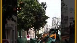 国外先进的全自动摘果实机器