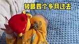 养一条狗陪我的孩子一起长大