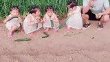 爸爸陪着四个小情人吃黄瓜，接下来这一幕太可爱了！