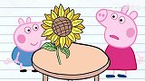 手绘铅笔动画：乔治种的向日葵会跳舞，小猪佩奇都快看呆了