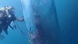 深海巨物，带鱼居然能长这么大