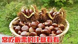 常吃板栗的留意了，后悔知道晚了，别说我没提醒你，快告诉所有人
