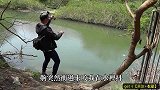 入海大河甩竿，这种名贵野鱼连杆了！