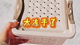 冒着暴雪接到新成员啦！竟然是一只...