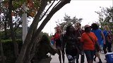 街头草人的恐吓恶作剧，路人非常害怕