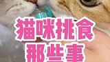 猫为什么挑食？怎么养猫咪才不挑食呢？