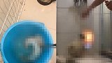 开水烫狗、点火将狗烧死 男子在流浪狗救助群狂发虐狗视频被封号