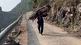 才开始懂事，父母就逐渐衰老