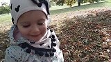 宝宝们在落叶里捡果实，捡回来送给妈妈，厉害了我的宝宝