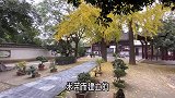 一个人的房车旅行，吃喝玩乐，无拘无束