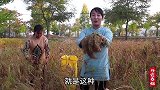 秋收的季节有些忙碌，春姐做黄豆芽烩菜，农忙季节最适合的农家菜