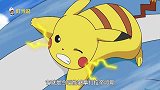 萌神皮卡丘的幼时经历震撼来袭，原来它的家人是袋龙