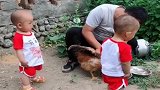 舅舅喂鸡喝水，眼前这一幕太逗了，双胞胎兄弟俩都看呆了