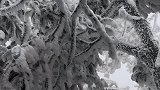 天门山的雪景