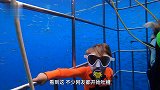 熊孩子和鲨鱼亲密接触镜头拍下惊险一幕，网友父母心真大！