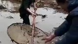 全村抓鱼最厉害的女人