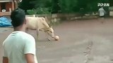 印度惊现足坛真GOAT！吃瓜路人高喊：C罗来了 C罗来了