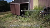 男子野外发现一座巨型蜂巢，一锄头下去，镜头记录精彩全过程！