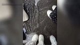 考生吐槽教资考点未妥善保管物品：手机平板被淋坏，教育局回应