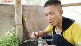 农村“野炊”小伙用“土瓦”烤“小米辣”感觉自己会被辣出眼泪