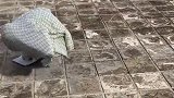 楼顶天台上发生的一幕，我整个人都傻掉了，谁能告诉我是什么原理
