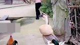 这仇我今天非报不可，忍不了了