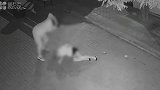 警方通报男子当街暴打女孩：事发大连 女孩软组织挫伤已出院