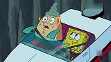 海绵宝宝：海绵宝宝又一次考驾照，终于没出意外，结果却吵死人！